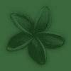 Embossed  green flower background