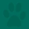 Paws Background