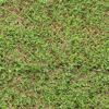 Weeds Background