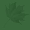 green oak leaf background